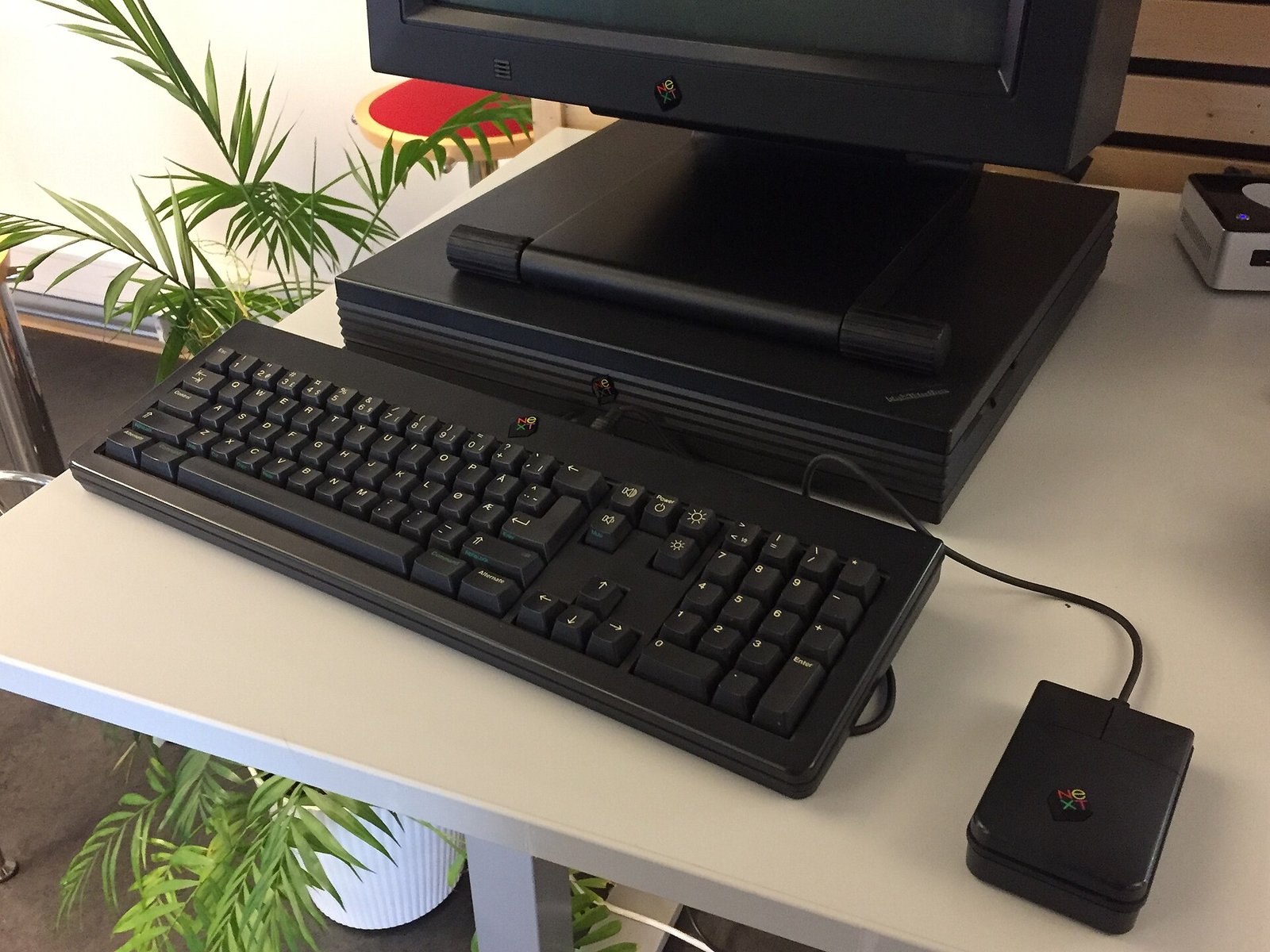 NeXTstation